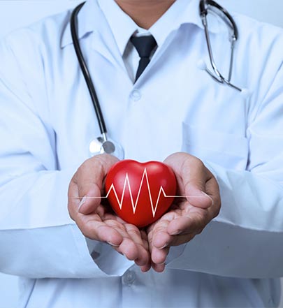 Doctor holding a miniature of heart, for cardiology care